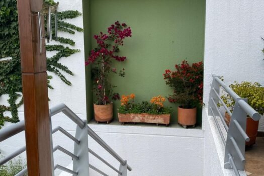 DEPARTAMENTO 464m² MONTESERRIÍN