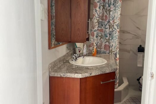 DEPARTAMENTO + SUITE 315m² GRANDA CENTENO