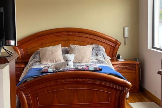 DEPARTAMENTO + SUITE 315m² GRANDA CENTENO