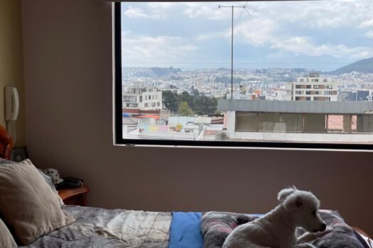 DEPARTAMENTO + SUITE 315m² GRANDA CENTENO