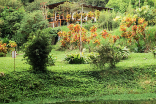 FINCA 6.47ha NANEGAL