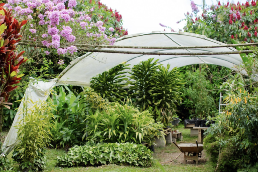 FINCA 6.47ha NANEGAL