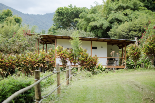 FINCA 6.47ha NANEGAL