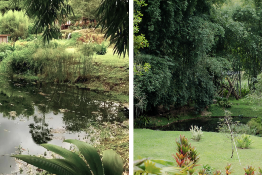 FINCA 6.47ha NANEGAL