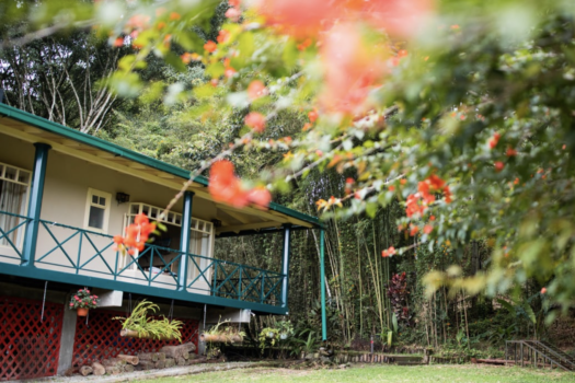 FINCA 6.47ha NANEGAL